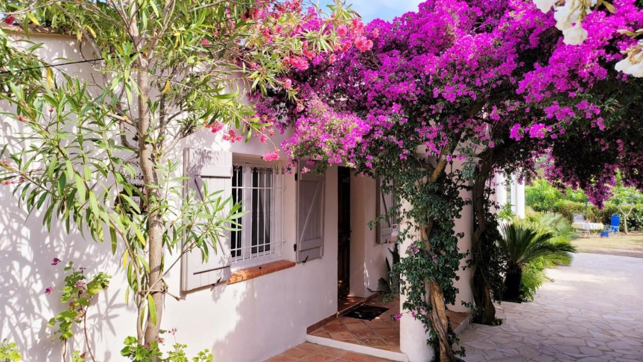 Villa Provencale A Sainte Maxime, Golf De Saint Tropez Eksteriør billede