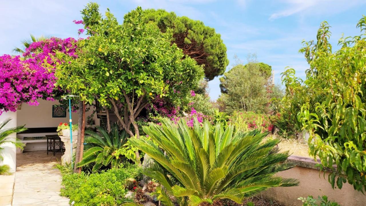 Villa Provencale A Sainte Maxime, Golf De Saint Tropez Eksteriør billede