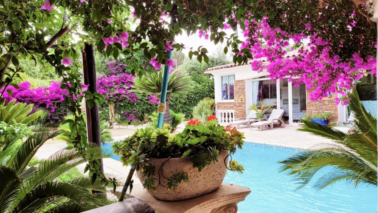 Villa Provencale A Sainte Maxime, Golf De Saint Tropez Eksteriør billede