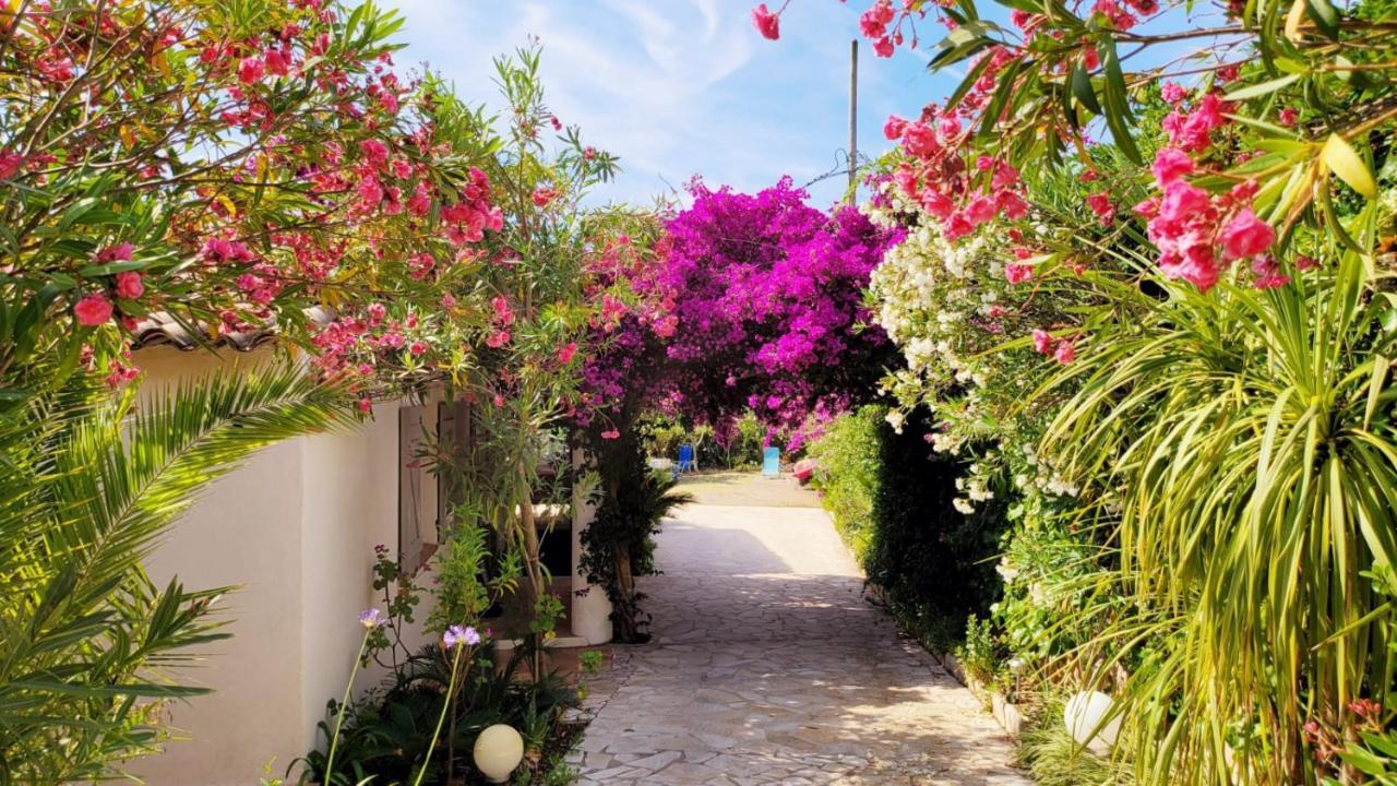 Villa Provencale A Sainte Maxime, Golf De Saint Tropez Eksteriør billede