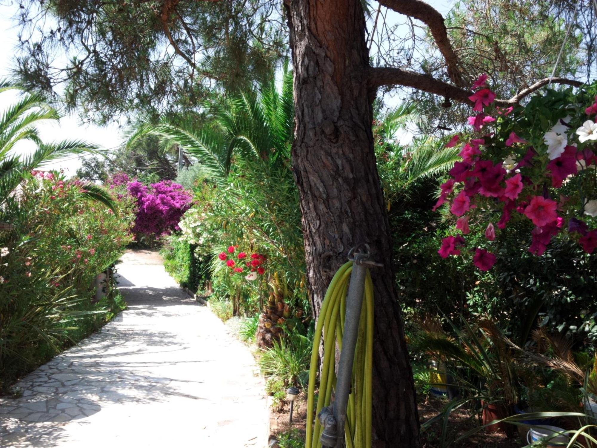 Villa Provencale A Sainte Maxime, Golf De Saint Tropez Eksteriør billede