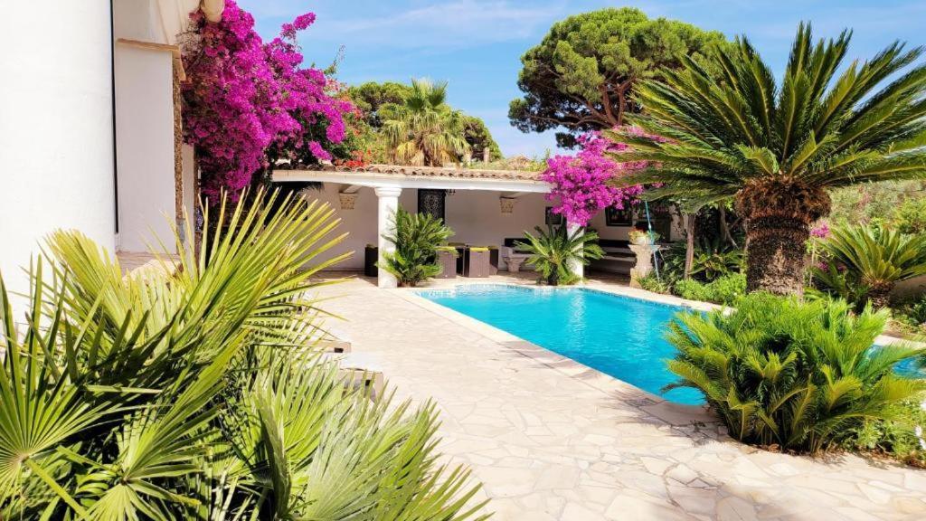 Villa Provencale A Sainte Maxime, Golf De Saint Tropez Eksteriør billede