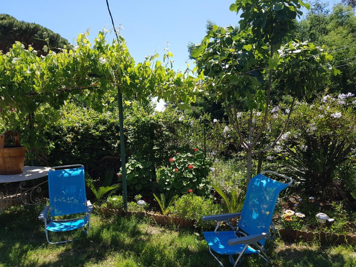 Villa Provencale A Sainte Maxime, Golf De Saint Tropez Eksteriør billede